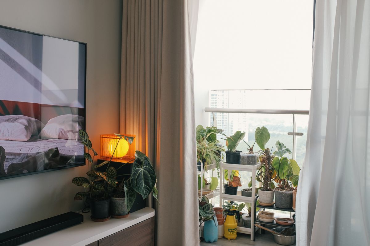 Gemütlich eingerichtetes Wohnzimmer